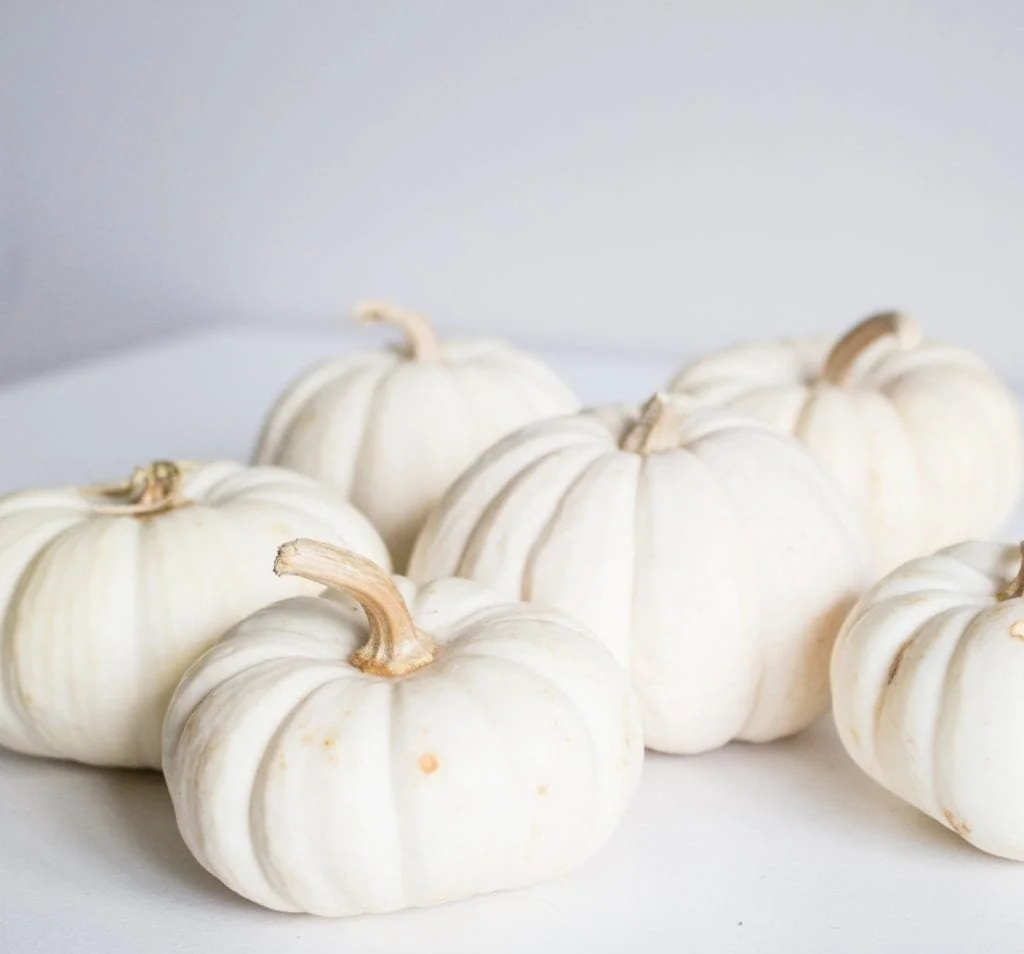 DIY Mini Pumpkin Floral Vase
