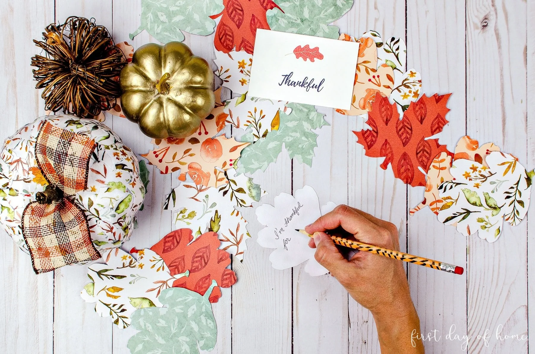 How to Make a Gratitude Tree Your Whole Family Will Love